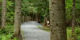 Gravel trail with walking bridge in the forest.