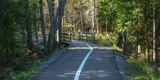 Paved trail with painted lines and walking bridge in background.