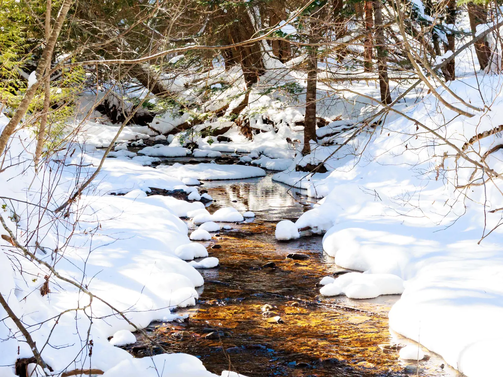 Community Investment Program application window opens January 6 | Town ...